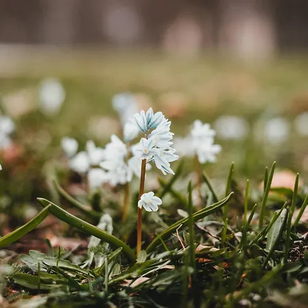 Apartamento Schoeneberg Vogt