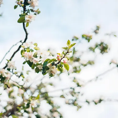 Appartamento Schoeneberg