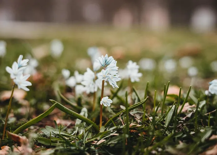 Apartamento Schoeneberg Vogt