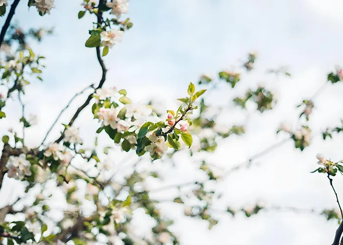 Apartamento Schoeneberg